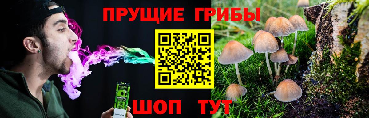 Галлюциногенные грибы мицелий  Псилоцибиновые грибы мухоморы  Вход с VPN  Старая Купавна 