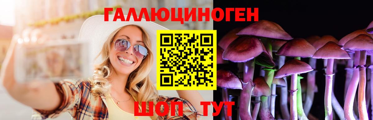 ГАШ Старая Купавна